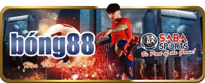 Cấp Vàng VIP